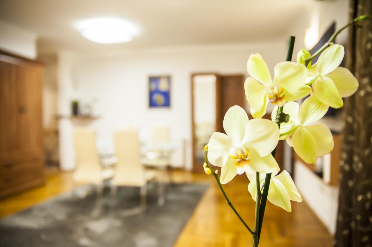 Business Class Apartment Cluj-Napoca Exteriör bild